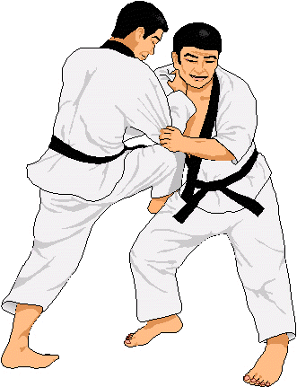 judo.gif