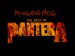 pantera1.jpg